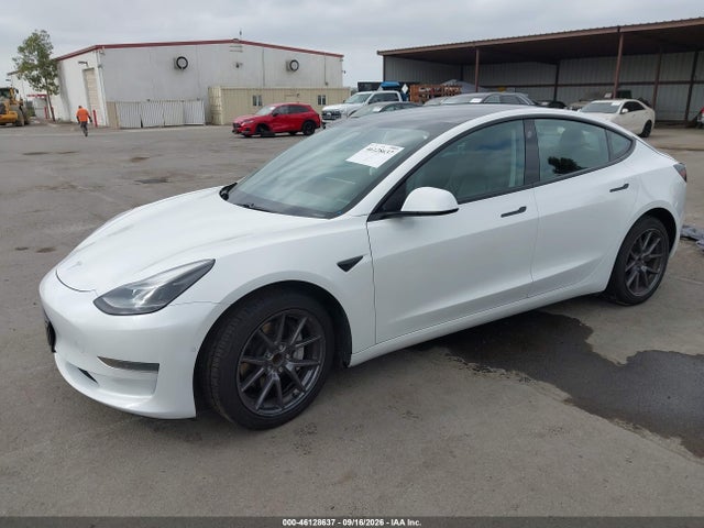 Tesla Model 3 Standard Range Plus Rear-wheel Drive 2021 5YJ3E1EA5MF074947 Image 2