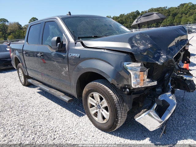 46128665 :رقم المزاد ، 1FTEW1C42LFB69219 vin ، 2020 Ford F-150 Xlt مزاد بيع