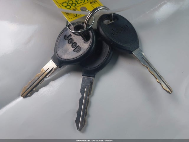 Aukcja sprzedaży 2003 Jeep Wrangler X, vin: 1J4FA39S53P346788, numer aukcji: 46130247