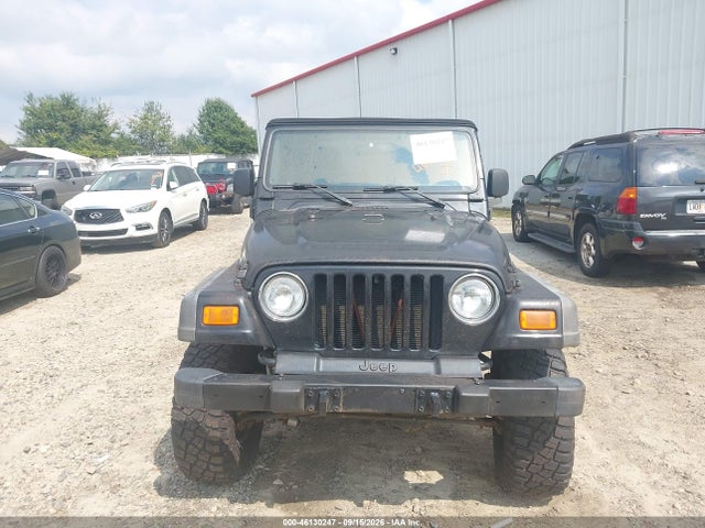 Aukcja sprzedaży 2003 Jeep Wrangler X, vin: 1J4FA39S53P346788, numer aukcji: 46130247