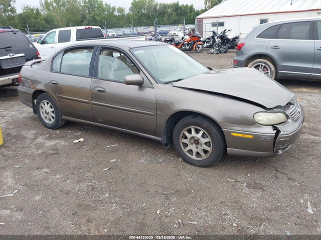 46130435 :رقم المزاد ، 1G1NE52JXX6245446 vin ، 1999 Chevrolet Malibu Ls مزاد بيع