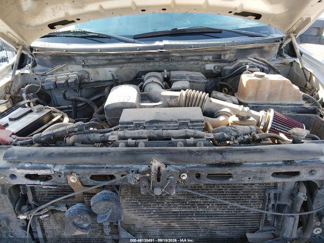 46130491 :رقم المزاد ، 1FTFW1EV3AFB26130 vin ، 2010 Ford F-150 Fx4/harley-davidson/king Ranch/lariat/platinum/xl/xlt مزاد بيع