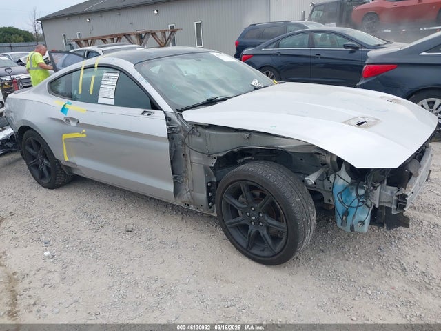 46130992 :رقم المزاد ، 1FA6P8TH5K5133175 vin ، 2019 Ford Mustang Ecoboost مزاد بيع