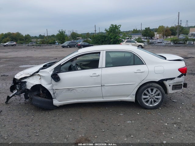 46131566 :رقم المزاد ، 2T1BU40E89C010939 vin ، 2009 Toyota Corolla Le مزاد بيع