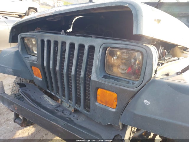 Продажа на аукционе авто 1994 Jeep Wrangler / Yj Sahara, vin: 1J4FY49S5RP445623, номер лота: 46132164