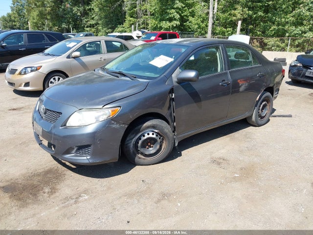 46132388 :رقم المزاد ، 2T1BU4EE3AC281081 vin ، 2010 Toyota Corolla Le مزاد بيع