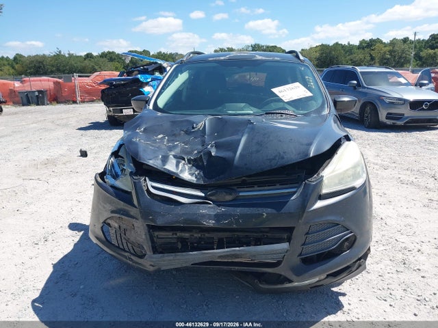 Aukcja sprzedaży 2014 Ford Escape Se, vin: 1FMCU0G99EUD06342, numer aukcji: 46132629