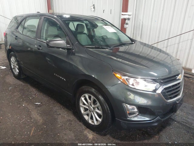 Auction sale of the 2020 Chevrolet Equinox Fwd Ls, vin: 3GNAXHEVXLS585256, lot number: 46133564