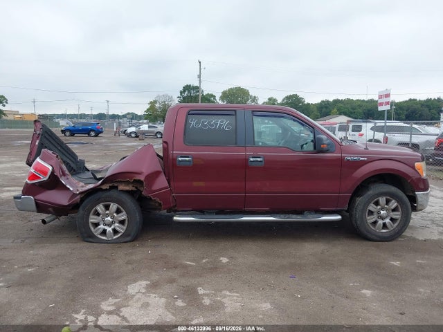 Aukcja sprzedaży 2009 Ford F-150 Xlt, vin: 1FTPW14V99FA58529, numer aukcji: 46133996