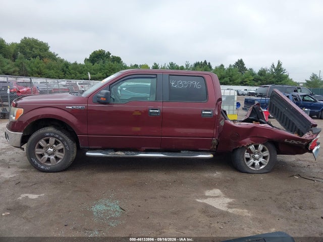 Aukcja sprzedaży 2009 Ford F-150 Xlt, vin: 1FTPW14V99FA58529, numer aukcji: 46133996