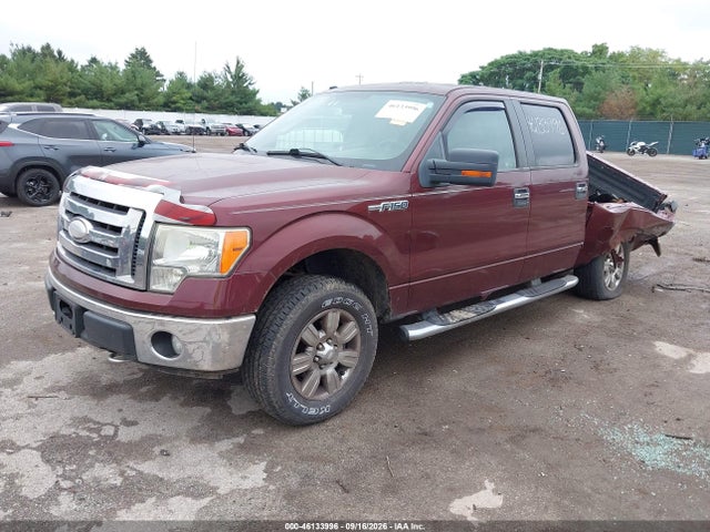 Aukcja sprzedaży 2009 Ford F-150 Xlt, vin: 1FTPW14V99FA58529, numer aukcji: 46133996