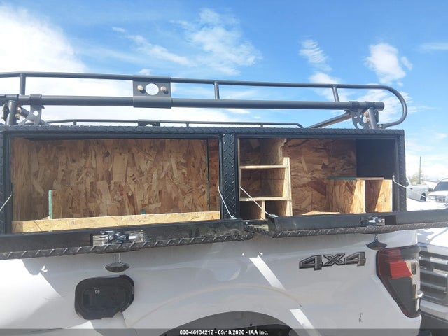 46134212 :رقم المزاد ، 1FTFX1L54RKD50462 vin ، 2024 Ford F-150 Xl مزاد بيع