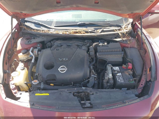 2009 Nissan Maxima 3.5 Sv მანქანა იყიდება აუქციონზე, vin: 1N4AA51E99C843978, აუქციონის ნომერი: 46137794