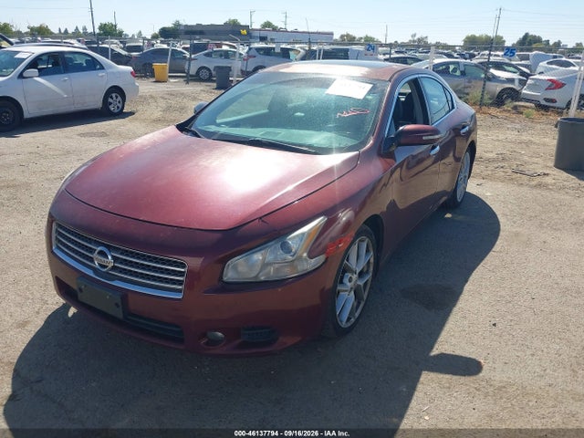 2009 Nissan Maxima 3.5 Sv მანქანა იყიდება აუქციონზე, vin: 1N4AA51E99C843978, აუქციონის ნომერი: 46137794
