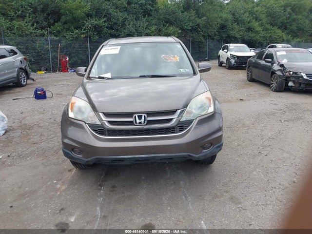 46140901 :رقم المزاد ، 5J6RE4H75AL011684 vin ، 2010 Honda Cr-v Ex-l مزاد بيع