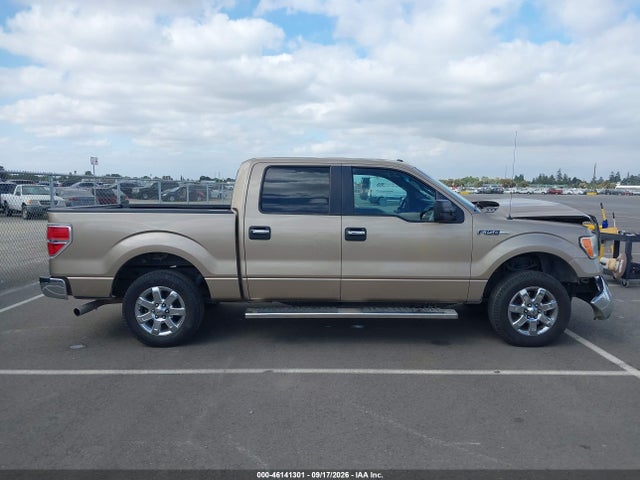2013 Ford F-150 Xlt მანქანა იყიდება აუქციონზე, vin: 1FTFW1CFXDKE66558, აუქციონის ნომერი: 46141301