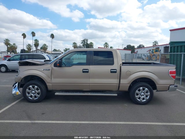 2013 Ford F-150 Xlt მანქანა იყიდება აუქციონზე, vin: 1FTFW1CFXDKE66558, აუქციონის ნომერი: 46141301