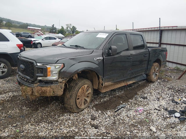 Aukcja sprzedaży 2019 Ford F-150 Xl, vin: 1FTEW1EP7KKE57203, numer aukcji: 46142648