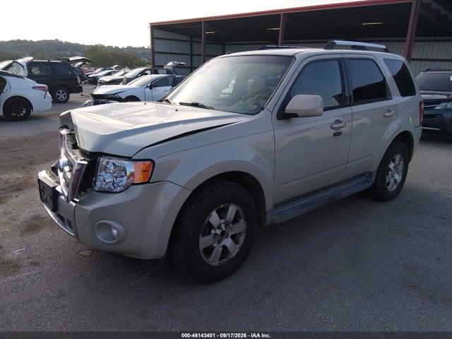 46143401 :رقم المزاد ، 1FMCU94G09KC46413 vin ، 2009 Ford Escape Limited مزاد بيع