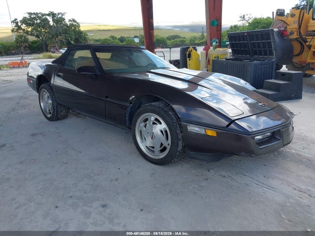 46146200 :رقم المزاد ، 1G1YY3182K5119815 vin ، 1989 Chevrolet Corvette مزاد بيع