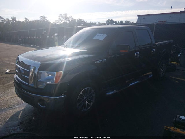 Продаж на аукціоні авто 2010 Ford F-150 Lariat, vin: 1FTFW1CVXAFA08028, номер лоту: 46146501