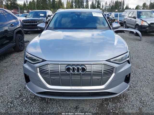 Aukcja sprzedaży 2022 Audi E-tron Premium Plus Quattro, vin: WA1LAAGE4NB025832, numer aukcji: 46148383