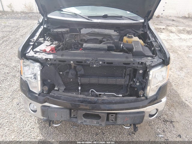Продаж на аукціоні авто 2013 Ford F-150 Xlt, vin: 1FTFX1EF9DFD34426, номер лоту: 46149569