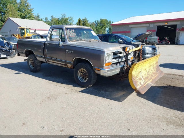 1989 Dodge W-series W100 მანქანა იყიდება აუქციონზე, vin: 1B7HM06Y7KS031001, აუქციონის ნომერი: 46149799