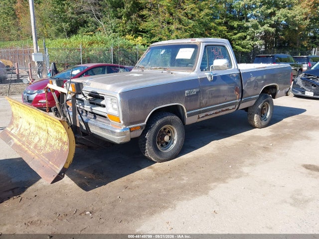 1989 Dodge W-series W100 მანქანა იყიდება აუქციონზე, vin: 1B7HM06Y7KS031001, აუქციონის ნომერი: 46149799