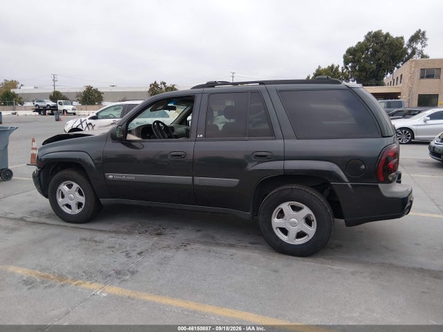 2003 Chevrolet Trailblazer Ls მანქანა იყიდება აუქციონზე, vin: 1GNDS13S432248895, აუქციონის ნომერი: 46150887
