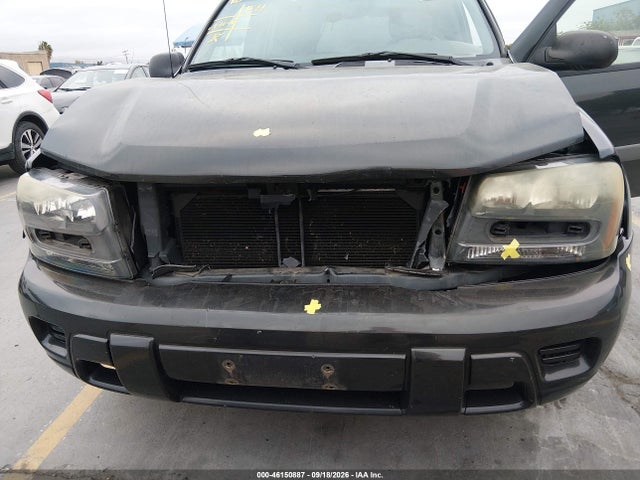 2003 Chevrolet Trailblazer Ls მანქანა იყიდება აუქციონზე, vin: 1GNDS13S432248895, აუქციონის ნომერი: 46150887