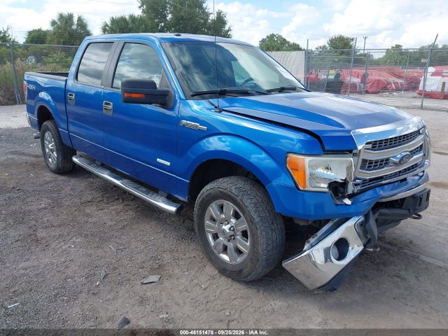 46151478 :رقم المزاد ، 1FTFW1ET7DKF42868 vin ، 2013 Ford F-150 Xlt مزاد بيع