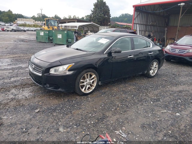 Продажа на аукционе авто 2009 Nissan Maxima 3.5 Sv, vin: 1N4AA51E79C853151, номер лота: 46151746