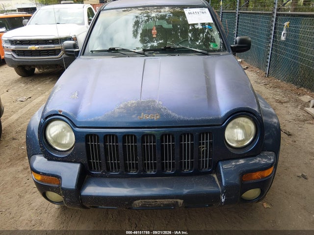 Aukcja sprzedaży 2002 Jeep Liberty Limited Edition, vin: 1J8GL58K22W231192, numer aukcji: 46151785