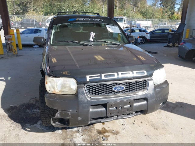 2004 Ford Escape Xlt მანქანა იყიდება აუქციონზე, vin: 1FMYU03174KA98980, აუქციონის ნომერი: 46151813