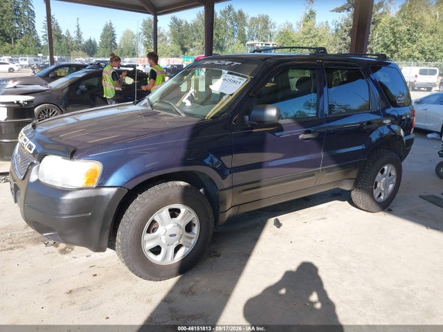 2004 Ford Escape Xlt მანქანა იყიდება აუქციონზე, vin: 1FMYU03174KA98980, აუქციონის ნომერი: 46151813