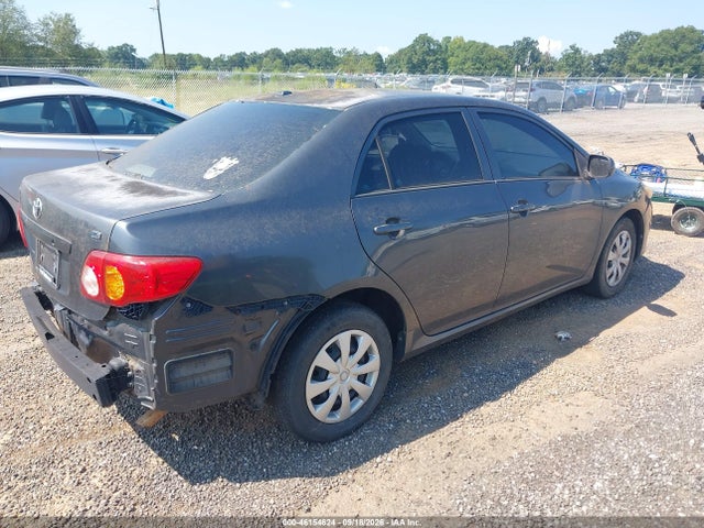 46154624 :رقم المزاد ، 1NXBU4EE2AZ353807 vin ، 2010 Toyota Corolla Le مزاد بيع