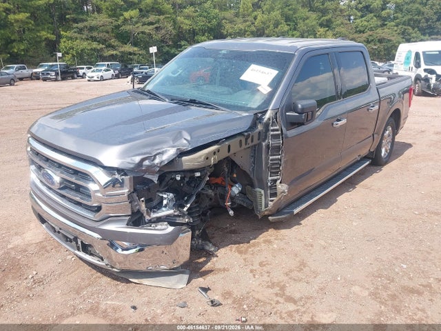 46154637 :رقم المزاد ، 1FTEW1CP7NFA40101 vin ، 2022 Ford F-150 Xlt مزاد بيع