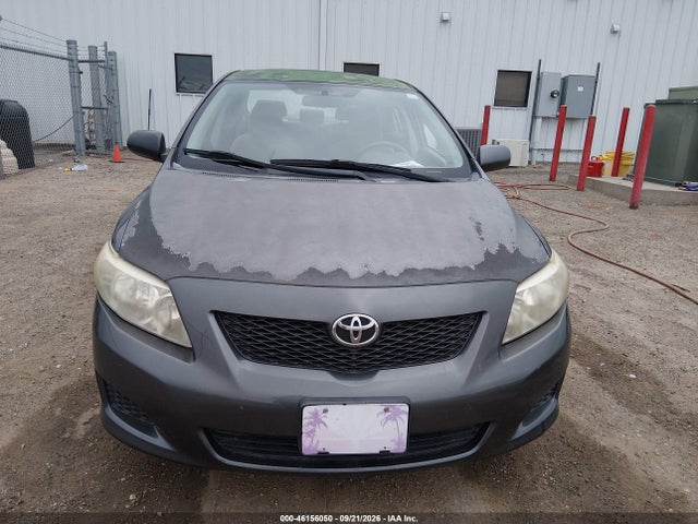 46156050 :رقم المزاد ، 1NXBU4EE6AZ259008 vin ، 2010 Toyota Corolla Le مزاد بيع