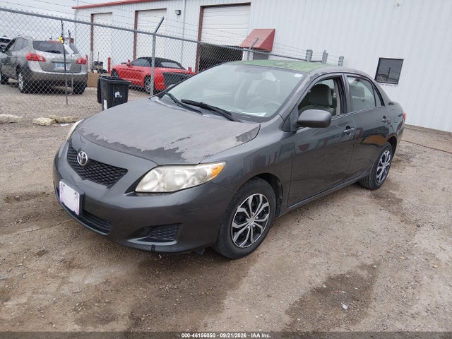 46156050 :رقم المزاد ، 1NXBU4EE6AZ259008 vin ، 2010 Toyota Corolla Le مزاد بيع