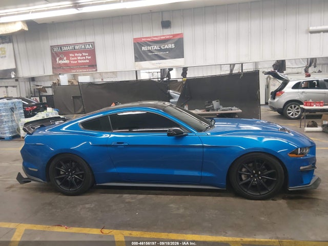 Ford Mustang Ecoboost Fastback 2021 1FA6P8TH0M5109823 Image 13