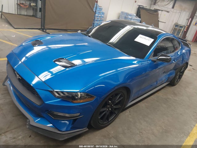 Ford Mustang Ecoboost Fastback 2021 1FA6P8TH0M5109823 Image 2