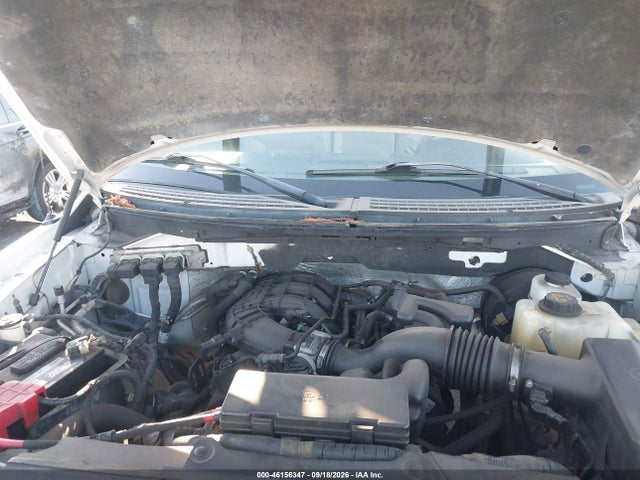 46156347 :رقم المزاد ، 1FTMF1CM5BFC06838 vin ، 2011 Ford F-150 Xl مزاد بيع