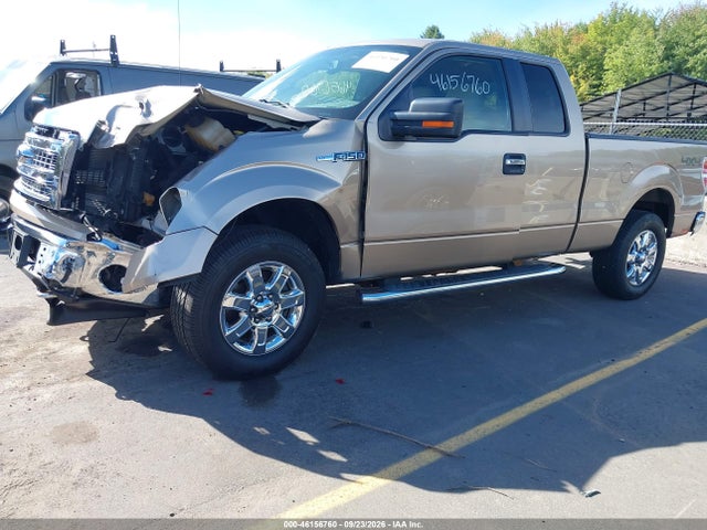 46156760 :رقم المزاد ، 1FTEX1EM1EFA46413 vin ، 2014 Ford F-150 Xlt مزاد بيع