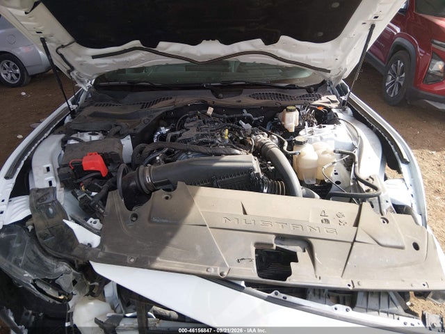 Ford Mustang Ecoboost Fastback 2024 1FA6P8TH3R5111248 Image 10
