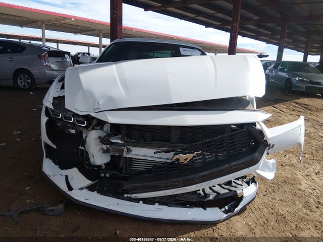 Ford Mustang Ecoboost Fastback 2024 1FA6P8TH3R5111248 Image 12