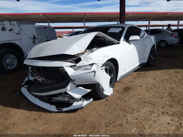 Ford Mustang Ecoboost Fastback 2024 1FA6P8TH3R5111248 Image 2