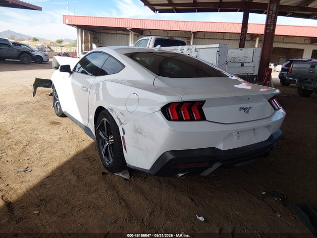 Ford Mustang Ecoboost Fastback 2024 1FA6P8TH3R5111248 Image 3