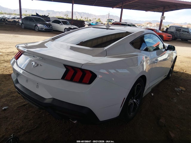 Ford Mustang Ecoboost Fastback 2024 1FA6P8TH3R5111248 Image 4