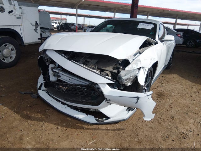 Ford Mustang Ecoboost Fastback 2024 1FA6P8TH3R5111248 Image 6